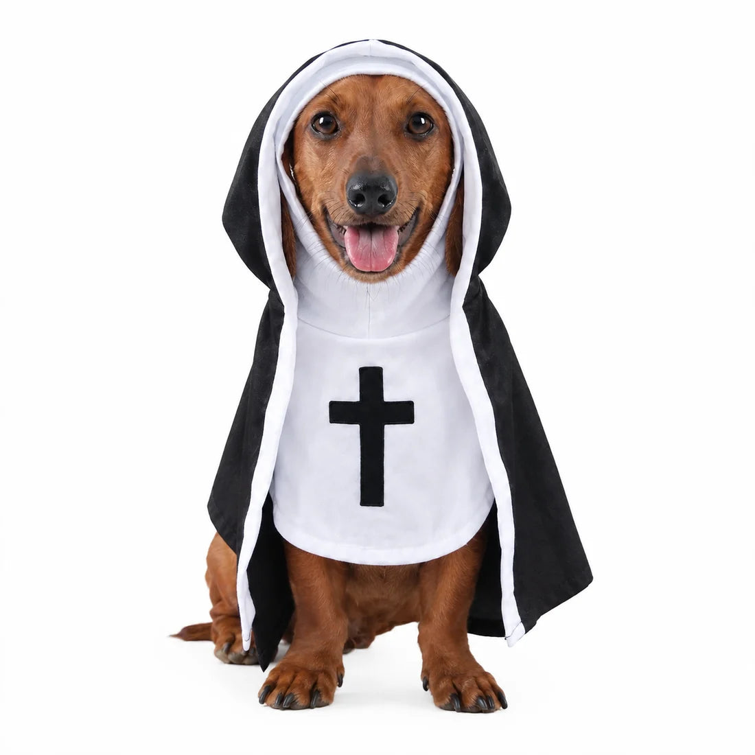Funny Halloween Costume for PETS