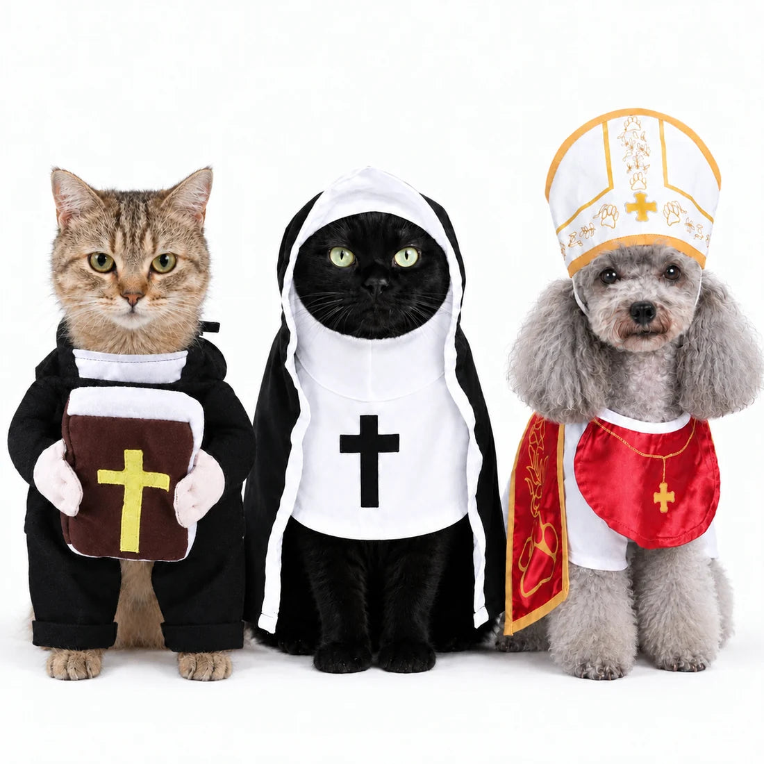 Funny Halloween Costume for PETS