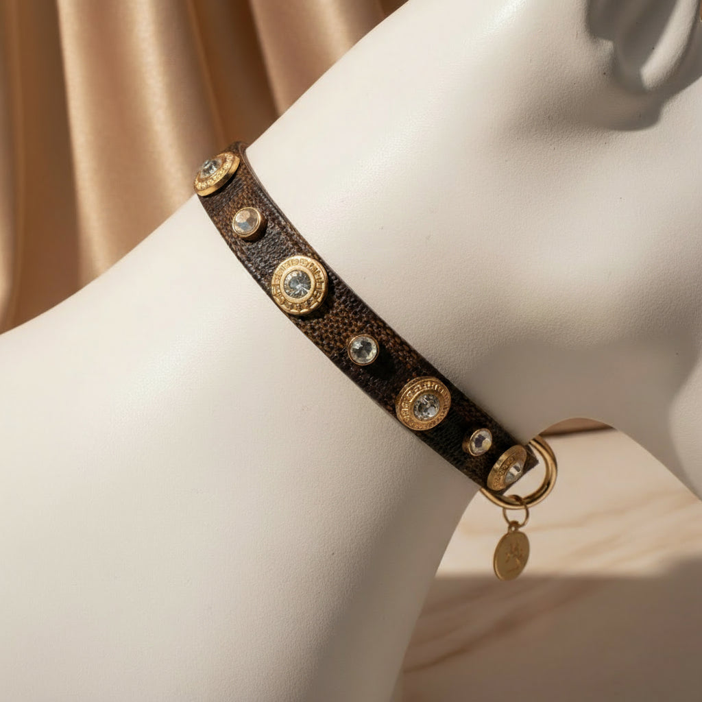 Dog collar with decorative studs and a paw charm on a white background,