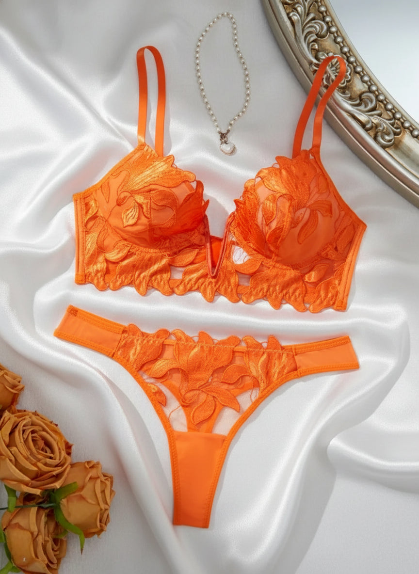 French Embroidered Lingerie Set