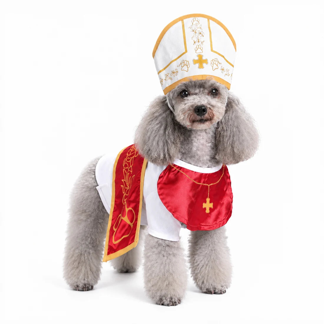 Funny Halloween Costume for PETS