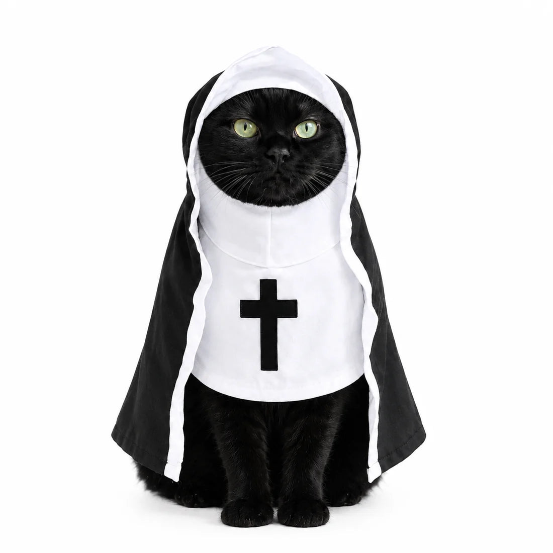 Funny Halloween Costume for PETS