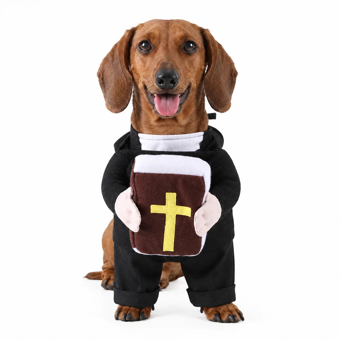 Funny Halloween Costume for PETS