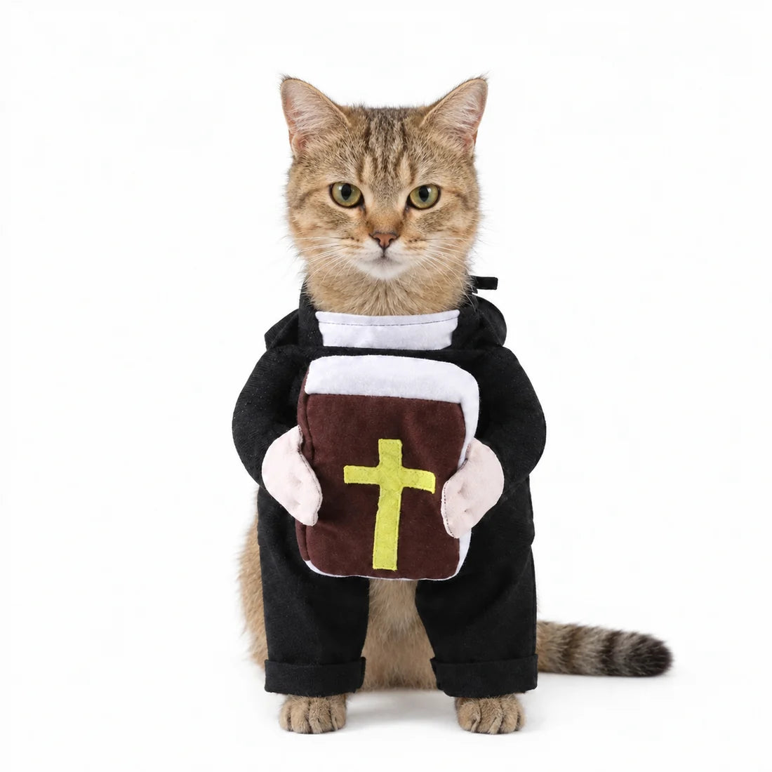 Funny Halloween Costume for PETS